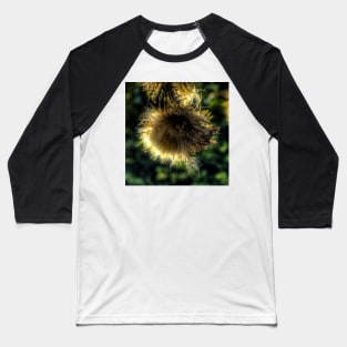 Thistle Light Refraction Baseball T-Shirt